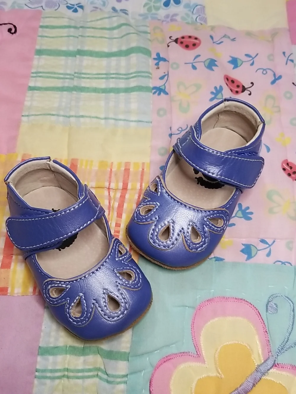 Livie & Luca Blue Leather Mary Jane Baby Shoes with Cutout Petals 0-6 Months